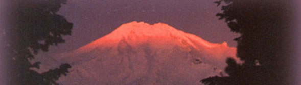 Mt Shasta Banner